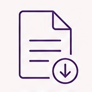 file icon 2